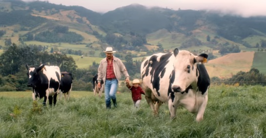 Leche produccion y consumo: El 40% de la leche en Colombia proviene de mercados informales Leche produccion y consumo: El 40% de la leche en Colombia proviene de mercados informales