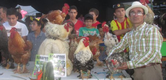 Crianza de aves: ¿Cómo es la crianza y qué cuidados deben tener las gallinas criollas? Crianza de aves: ¿Cómo es la crianza y qué cuidados deben tener las gallinas criollas?