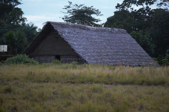 Bio Apaporis 2018: Expedición Colombia Bio Apaporis 2018 registra 36 posibles nuevas especies Bio Apaporis 2018: Expedición Colombia Bio Apaporis 2018 registra 36 posibles nuevas especies