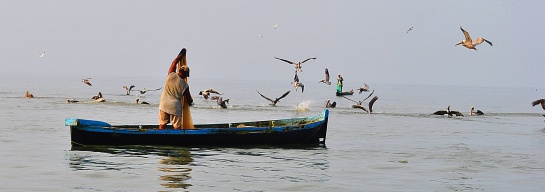 Pesca en Colombia: Colombia apenas produce la mitad del pescado que consume Pesca en Colombia: Colombia apenas produce la mitad del pescado que consume