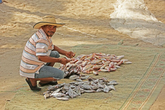 Pesca en Colombia: Colombia apenas produce la mitad del pescado que consume Pesca en Colombia: Colombia apenas produce la mitad del pescado que consume
