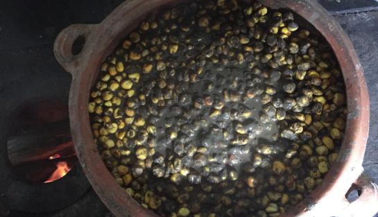 Semillas ancestrales, comidas típicas: Un museo campesino mantiene vivo el legado de nuestros antepasados Semillas ancestrales, comidas típicas: Un museo campesino mantiene vivo el legado de nuestros antepasados