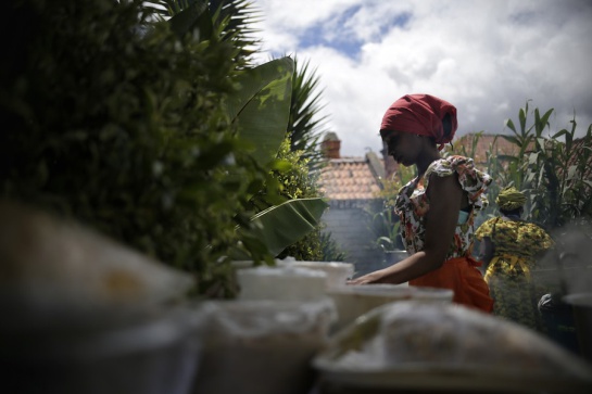 Océano Pacífico: El fogón africano, una deliciosa riqueza en el Pacífico que poco conocemos Océano Pacífico: El fogón africano, una deliciosa riqueza en el Pacífico que poco conocemos