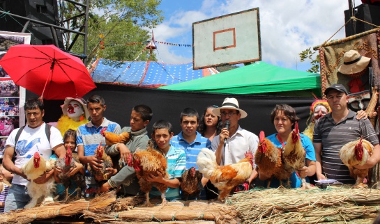 Feria de Gallos en Pereira: El gallo, nuestro mejor despertador, recibe homenaje internacional Feria de Gallos en Pereira: El gallo, nuestro mejor despertador, recibe homenaje internacional