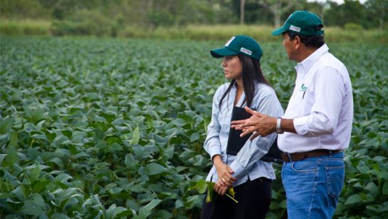Investigación científica: La inteligencia artificial para analizar los suelos, un logro de Agrosavia Investigación científica: La inteligencia artificial para analizar los suelos, un logro de Agrosavia
