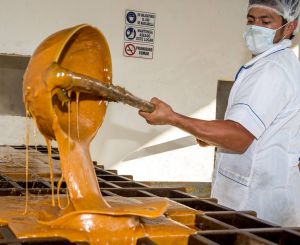 La Panela, producto colombiano de gran protagonismo, invitado a este importante evento. La Panela, producto colombiano de gran protagonismo, invitado a este importante evento.