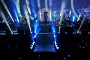 Pitbull Pitbull