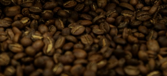 Cafe cosecha Colombia: El Eje Cafetero aspira al millón y medio de sacos durante la cosecha Cafe cosecha Colombia: El Eje Cafetero aspira al millón y medio de sacos durante la cosecha
