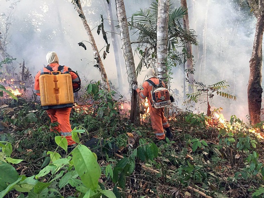 Incendio forestal en Brasil Incendio forestal en Brasil