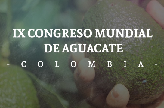 Medellín recibe el IX Congreso Mundial de Aguacate Medellín recibe el IX Congreso Mundial de Aguacate