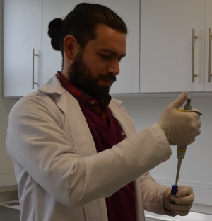 Cannabis para controlar el dolor de los animales Cannabis para controlar el dolor de los animales