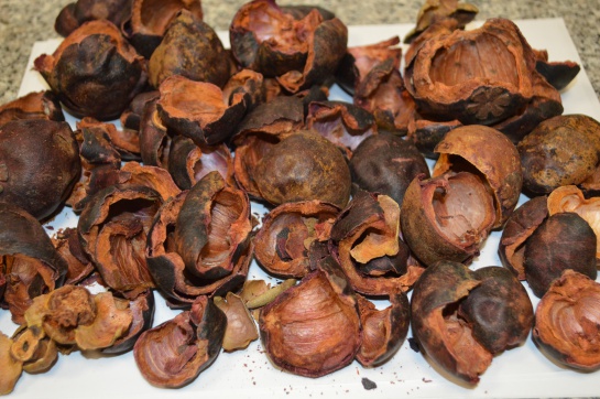 Cáscaras de mangostino Cáscaras de mangostino