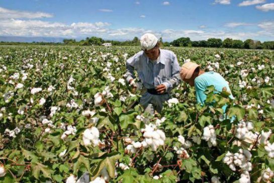 Apúntese y participe en el 39º Congreso Agropecuario Nacional Apúntese y participe en el 39º Congreso Agropecuario Nacional