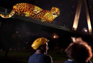 Gigantes de Luz, que muestran la flora y fauna de nuestro país. Gigantes de Luz, que muestran la flora y fauna de nuestro país.