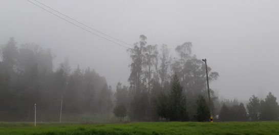 daños cultivos: Heladas y altas temperaturas golpean la economía campesina daños cultivos: Heladas y altas temperaturas golpean la economía campesina