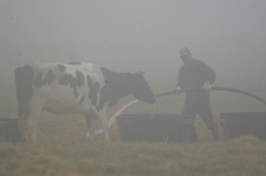 Los riegos son vitales para evitar daños por heladas Los riegos son vitales para evitar daños por heladas