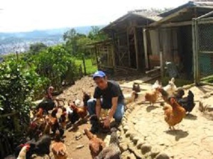 calor gallinas y pollos: Las aves no sudan pero hay que protegerlas de las altas temperaturas calor gallinas y pollos: Las aves no sudan pero hay que protegerlas de las altas temperaturas