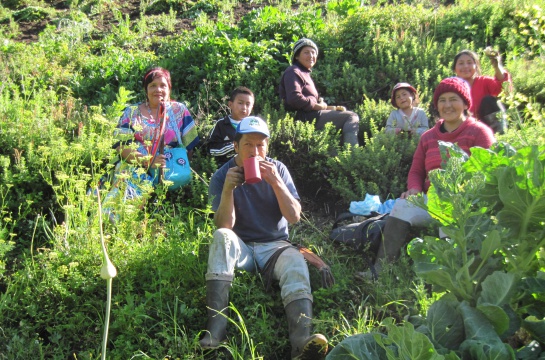 Miembros de la familia indígena Yanakuna en un huerto de Totoró, Cauca. Miembros de la familia indígena Yanakuna en un huerto de Totoró, Cauca.
