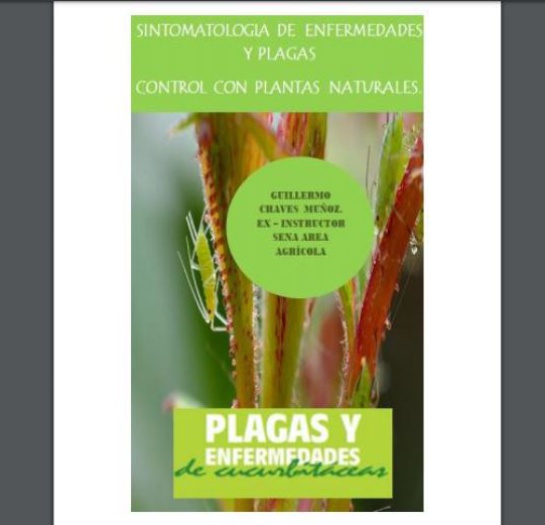 Apicultura y Meliponicultura: ¿Cómo proteger los cultivos sin matar las abejas? Apicultura y Meliponicultura: ¿Cómo proteger los cultivos sin matar las abejas?