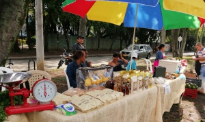 Abastos mercados campesinos: En Cali, mercados con sentido ecológico Abastos mercados campesinos: En Cali, mercados con sentido ecológico