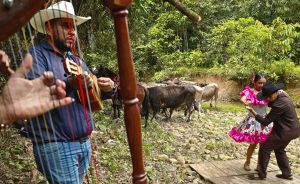 El 34% de los extranjeros que llegan al Meta se quedan en Villavicencio. El 34% de los extranjeros que llegan al Meta se quedan en Villavicencio.