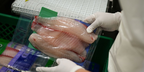 Aunap pescado bueno: Así se conoce un pescado de óptima calidad Aunap pescado bueno: Así se conoce un pescado de óptima calidad