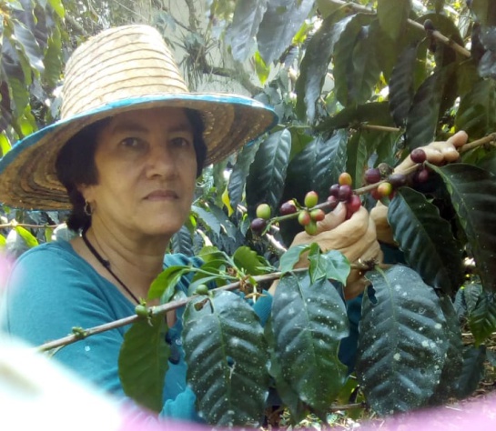 Problemas Mujer Rural: Trabajo de la mujer campesina, muy duro y muy mal remunerado Problemas Mujer Rural: Trabajo de la mujer campesina, muy duro y muy mal remunerado