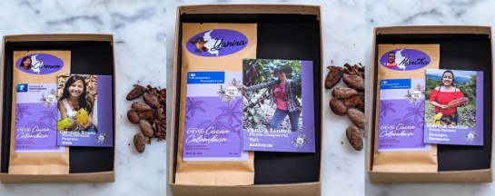 Cacao producido por mujeres se exporta al Reino Unido Cacao producido por mujeres se exporta al Reino Unido