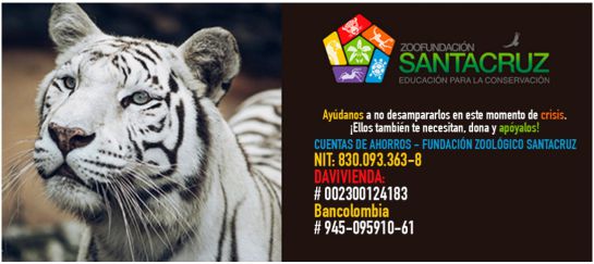 Zoologico Cundinamarca donaciones animales: Ayuda para los animales durante la cuarentena piden en zoológico Santacruz Zoologico Cundinamarca donaciones animales: Ayuda para los animales durante la cuarentena piden en zoológico Santacruz