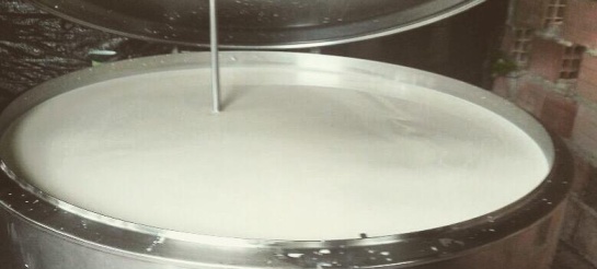 Leche recién ordeñada Leche recién ordeñada