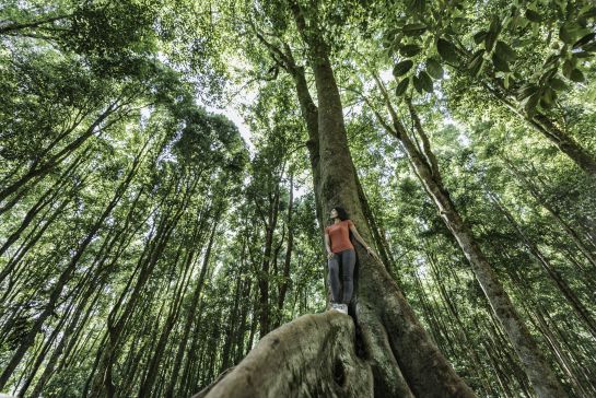 "Con los Baños de Bosque, se pierde la noción del tiempo, se difuminan las angustias y la tensión". @lluviadebosque "Con los Baños de Bosque, se pierde la noción del tiempo, se difuminan las angustias y la tensión". @lluviadebosque