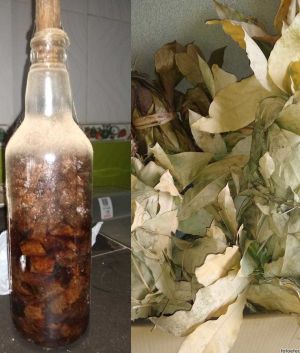 Botella con 35 plantas - Plantas secas de Sikongoya y Marimba Botella con 35 plantas - Plantas secas de Sikongoya y Marimba