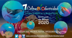 Este 22 de Mayo se celebra el Día Internacional de la Biodiversidad. Este 22 de Mayo se celebra el Día Internacional de la Biodiversidad.