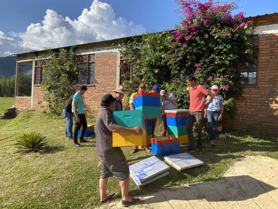 Abejas, producción miel, medio ambiente: Proyecto apícola colombiano se destaca en premios Latinoamérica Verde Abejas, producción miel, medio ambiente: Proyecto apícola colombiano se destaca en premios Latinoamérica Verde