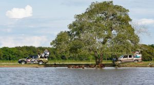 Safari LLanero, ejemplo de Sostenibilidad en Colombia Safari LLanero, ejemplo de Sostenibilidad en Colombia