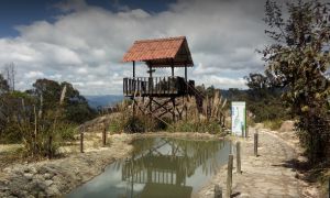 Parque Ecológico Soratama- Turismo de Naturaleza Parque Ecológico Soratama- Turismo de Naturaleza
