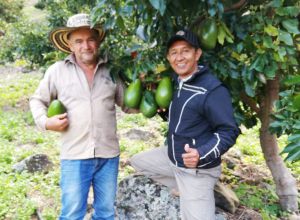 Cultivos lechuga Cesar pérdidas: Se nos perdieron los cultivos de lechuga: campesino del Cesar Cultivos lechuga Cesar pérdidas: Se nos perdieron los cultivos de lechuga: campesino del Cesar