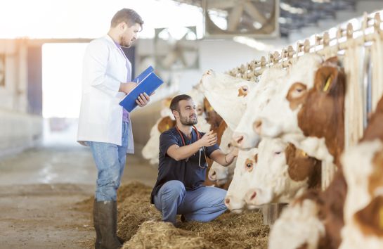 Fármacos veterinarios resistencia antibacteriana: Buen uso de medicamentos veterinarios incide en la calidad de los alimentos Fármacos veterinarios resistencia antibacteriana: Buen uso de medicamentos veterinarios incide en la calidad de los alimentos