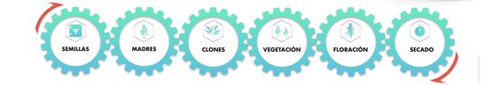 Un software colombiano para mostrar el historial de productos del agro Un software colombiano para mostrar el historial de productos del agro
