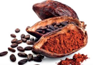 De la cascarilla del Cacao, se saca el té de Cacao. De la cascarilla del Cacao, se saca el té de Cacao.