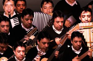 Músico que interpreta alrededor de 40 instrumentos Músico que interpreta alrededor de 40 instrumentos