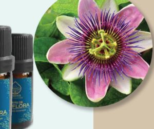 Aceite Pasiflora, efecto relajante. Aceite Pasiflora, efecto relajante.