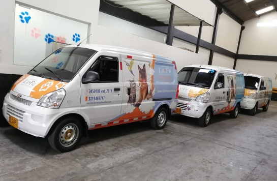Planes exequiales para mascotas: Las mascotas también van al cielo Planes exequiales para mascotas: Las mascotas también van al cielo
