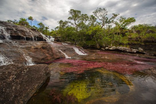 Colombia compite como,Principal Destino Naturaleza de Suramérica Colombia compite como,Principal Destino Naturaleza de Suramérica