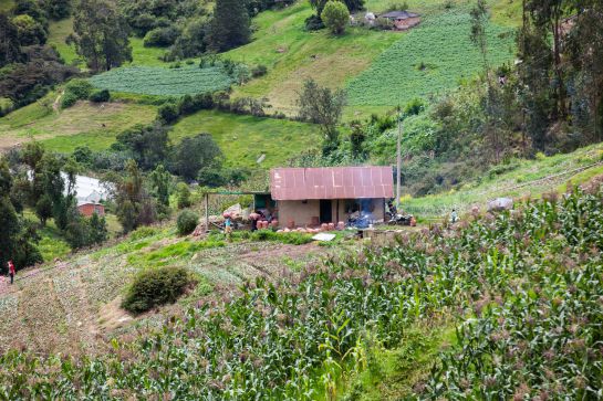 Situación vivienda rural: Minvivienda impulsa proyecto de viviendas rurales Situación vivienda rural: Minvivienda impulsa proyecto de viviendas rurales