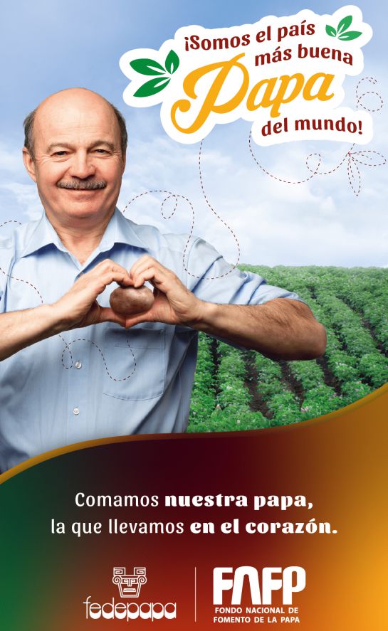 Cultivadores papa importaciones: Coma papa colombiana, el llamado de sus productores Cultivadores papa importaciones: Coma papa colombiana, el llamado de sus productores