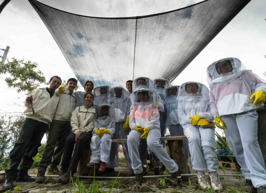 Abejas, miel, turismo, peligro extinción: El fascinante mundo de las abejas, en la Ruta de la Miel Abejas, miel, turismo, peligro extinción: El fascinante mundo de las abejas, en la Ruta de la Miel