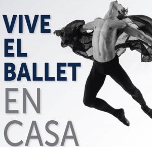 Acercar al público al conocimiento del ballet es la idea del festival. Acercar al público al conocimiento del ballet es la idea del festival.