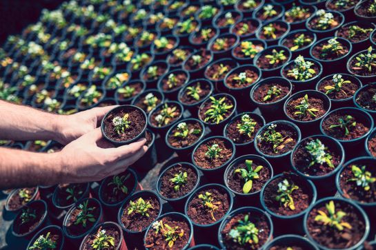 Agro, pandemia, crisis económica: La pandemia dejó al desnudo los graves problemas del campo Agro, pandemia, crisis económica: La pandemia dejó al desnudo los graves problemas del campo