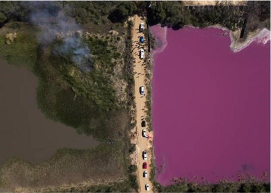 Jorge Sáenz: La impactante foto que salvó la laguna Cerro en Paraguay Jorge Sáenz: La impactante foto que salvó la laguna Cerro en Paraguay